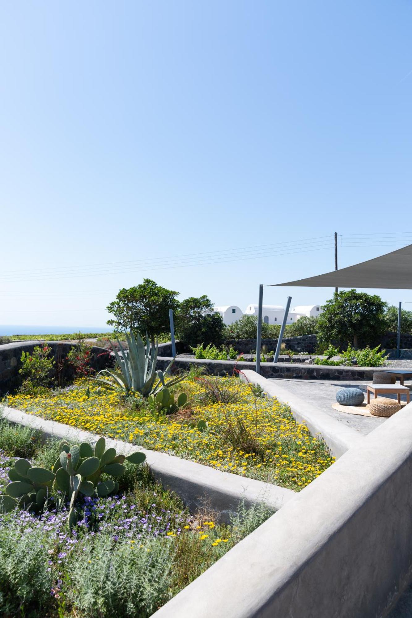 Soil Of Sun Luxury Villas Megalochori  Esterno foto